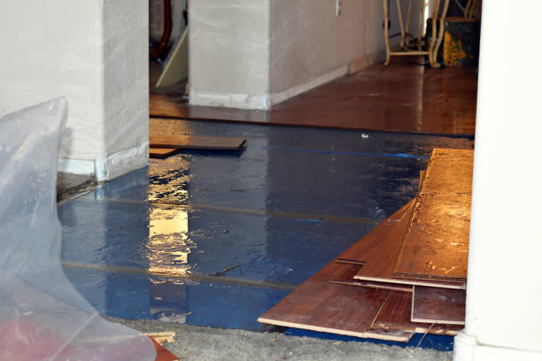 Professional Water Damage Restoration technician working in Freeport, OH